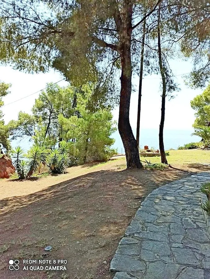 Squirrels, Home With View Metamorfosi  0*, Metamorfosi (Sithonia)